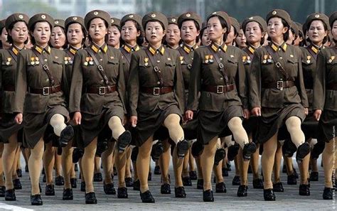 North korea vs usa, who would win? North Korea Korean Army ranks military soldier combat ...