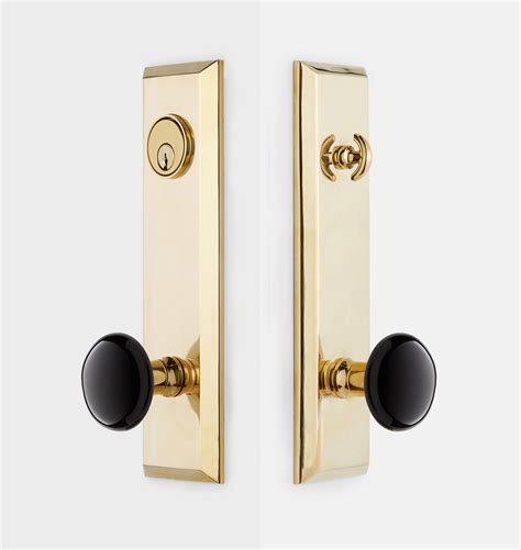 Kelompok penyakit berikut ini yang disebabkan oleh virus adalah … contoh : Black And Gold Door Handles