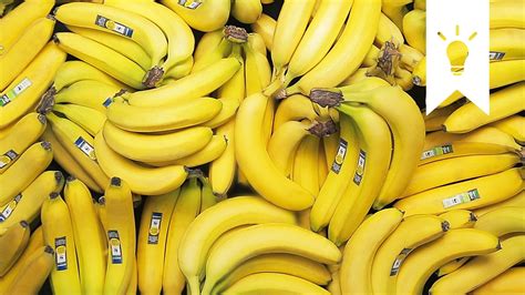 Bananen - Wissenswertes und Rezept-Tipps | EDEKA
