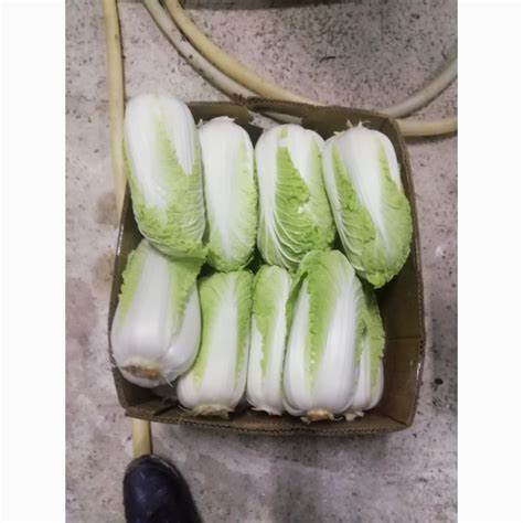 Пекинская капуста диета отзывы Продам ПЕКИНСКАЯ капуста, Краснодар, Капуста — APKRU.com Продам ПЕКИНСКАЯ капуста, Краснодар, Капуста — APKRU.com Пекинская капуста диета отзывы