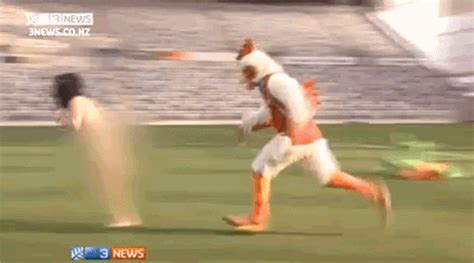 May 27, 2021 · streaker prances in rain at nationals park, attempts slick way to evade security game was suspended due to inclement weather, set to resume thursday afternoon Streaker Tackled By Chicken Mascot Wearing James Harden ...