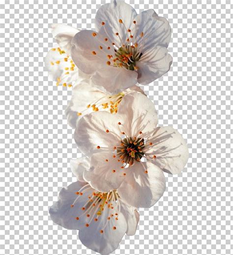 Check spelling or type a new query. 1800 flowers logo clipart 10 free Cliparts | Download ...