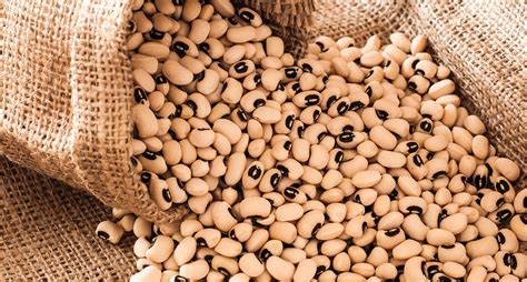 Once your black eyed peas are tender you can season them up and add any extras you want. Fresh Food Friday Southern Black-Eyed Peas