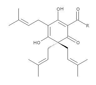 Those phytoestrogens are estrone (in palm kernels, elaeis guineensis), coumestrol (in alfalfa, medicago sativa), several bitter acids (coupulon, lupulon, and adlupulon in hops, humulus lupulus). Hopbitterzuren - brouw-bier.nl