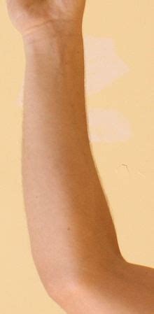 Related online courses on physioplus. forearm - Wiktionary