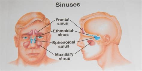 Please see your doctor about these symptoms, headaches, vision issues, and ear popping, are not normal. Teach Besides Me: Popped Ears From Flying