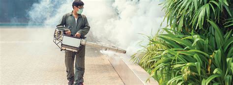 We serve you at commercial, residential and industrial. Residential Pest control Service in Fujairah | Allied Pest ...