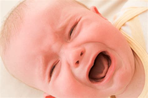 Keep in mind that our baby is colicky as well. Why Do Babies Cry: The Ultimate Guide to Soothing Your ...