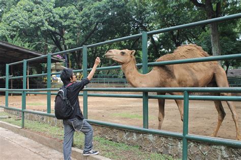 Jalan kebun binatang no.6, lebak siliwangi, coblong, kota bandung, jawa barat 40123 map: 10 Foto Kebun Binatang Bandung, Harga Tiket Masuk ...
