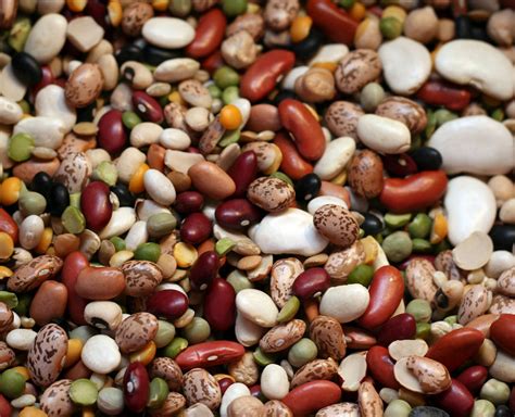 19 cibi per incrementare i muscoli e prendere peso più velocemente. Alimenti vegetali ricchi di proteine: per vegetariani e ...