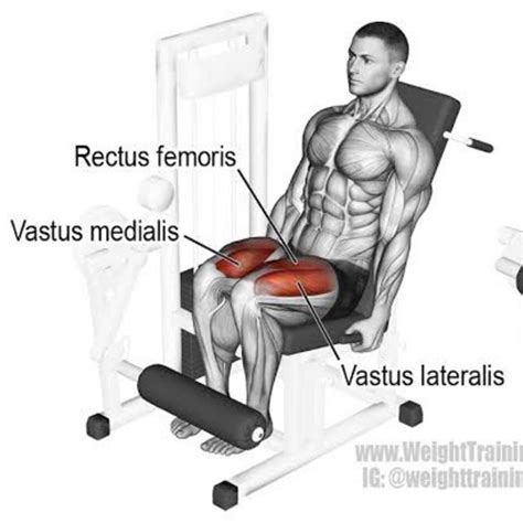 Now, let me make a few things clear here… Leg Extension (Quads) - Exercise How-to - Workout Trainer ...