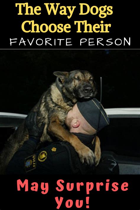 Oct 16, 2017 · how dogs choose their favorite person 1. How Do Dogs Choose Their Favorite Person | Favorite person ...