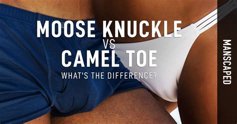 Or, have you avoided those tight pants or leggings because you did want to deal with a camel toe wardrobe malfunction. Moose Knuckle vs Camel Toe - What's the Difference ...