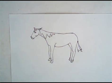 Learn how to draw mustang horse pictures using these outlines or print just for coloring. 10+ Best For Simple Mustang Logo Drawing | Tasya Hocker