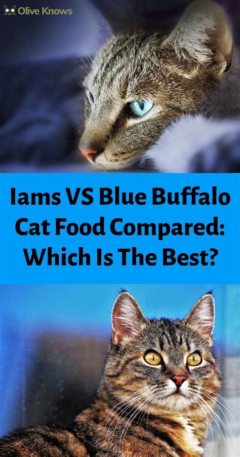 Fortunately, blue buffalo takes pet health and owner concerns seriously and all the food it produces is wheat, corn and soy free. Iams vs Blue Buffalo Cat Food Compared: Which Is The Best ...