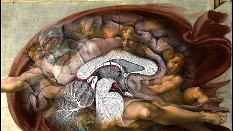 The creation of adam fresco shows adam and god reaching toward one another, arms outstretched, fingers almost touching. Why Did Michelangelo Paint A Brain In The Creation Of Adam ...