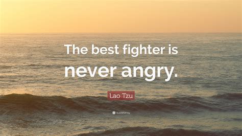 You'll find inspirational quotes that remind us of the beauty of flight and of what draws humanity to the skies. Lao Tzu Quote: "The best fighter is never angry." (19 wallpapers) - Quotefancy