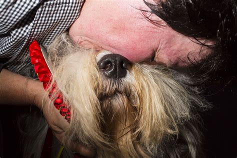 Hounds of Helsinki: Behind the Scenes of the 2014 World ...