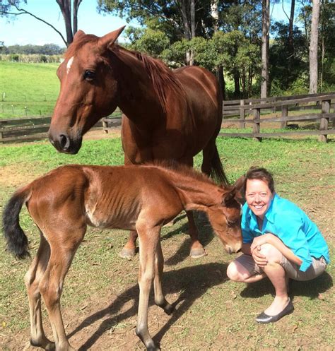 Maybe you would like to learn more about one of these? Breeding - Pacific Vet Care