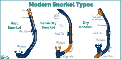 How long does dysport last? How Do Snorkels Work? (Wet, Semi-Dry, and Dry Snorkels ...