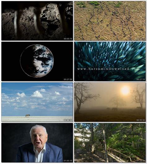 Legacy of stories from david attenborough & a life on our planet team. دانلود مستند دیوید اتنبرو، زندگی روی زمینمان - David ...