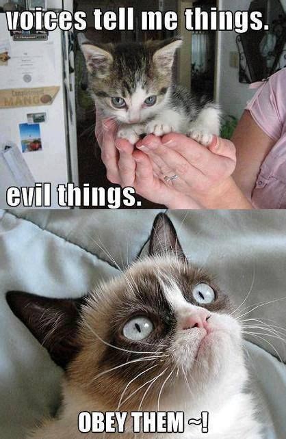 What do you call it when a guy throws his laptop into the ocean? Keep Calm and DIY!: 9 Awesome Grumpy Cat Memes
