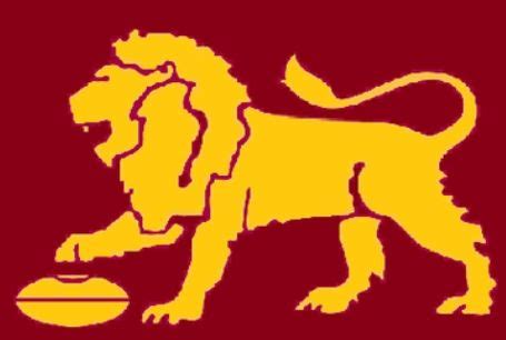 Brisbane lions brisbane bears 2018 afl season fitzroy football club richmond football club, stadium, food, face png. Opinion - Design your own Brisbane Lions logo | Page 4 ...