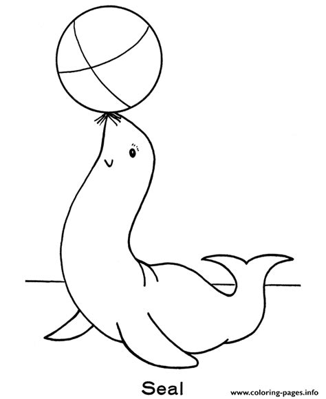 Free zoo coloring pages for preschoolers put me in. Seal Preschool S Zoo Animalsf97c Coloring Pages Printable