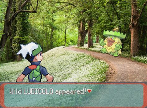 Ludicolo offers a wide variety of products suitable for the whole family. ludicolo on Tumblr