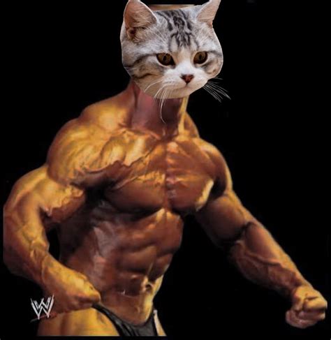 John cena will send personalized videos to anyone who buys his new children's book, but the offer is only available in a limited supply. John Cena's Face Superimposed on Cats