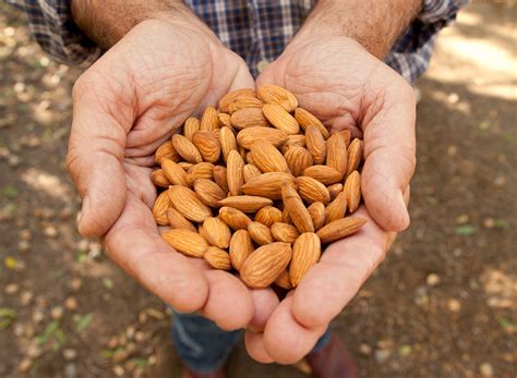 Regol, kota bandung, jawa barat 40251 telepon: Toko Jual Kacang Almond di Bandung | Dapatkan Disini ...