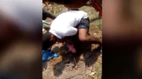 Daily updated videos of hot busty teen, latina, amateur & more. Video: Newborn girl buried upside down in Odisha, rescued ...