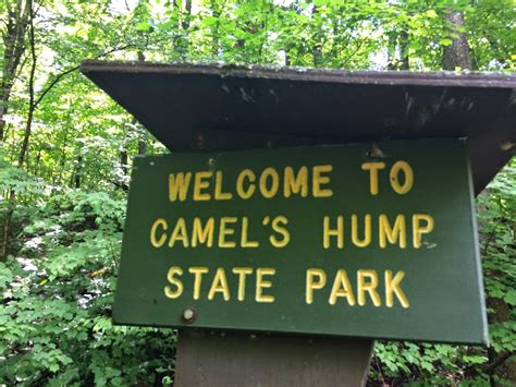 Camels do not directly store water in their humps; Outdoorsy Mama: How the Shift from "Mom" to "Hiking ...