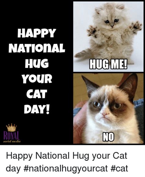 Ancient egyptians shaved off their eyebrows to mourn the deaths of their cats. National Hug Your Cat Day is Jun 4th!! | Hug your cat day ...