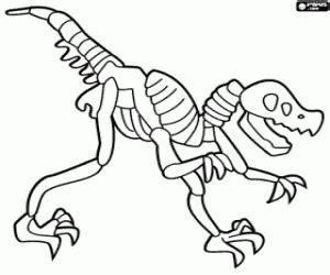 Malvorlagen dinosaurier skelett wir haben 17 bilder über malvorlagen dinosaurier skelett einschließlich bilder, fotos, hintergrundbilder skelett mit ruestung ausmalbild malvorlage phantasie. Dino Skelett Malvorlage | Kinder Ausmalbilder
