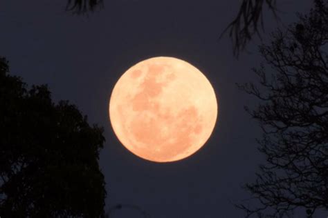 Year full moon distance diameter relative relative perigee δperigee. Perth Super Moon: What Is A Super Moon & Best Time To View ...