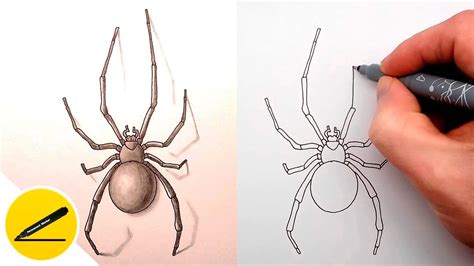 Support my art and get exclusive access to all my tutorials How to Draw a Spider Step by Step - Drawing Tutorial Video ...