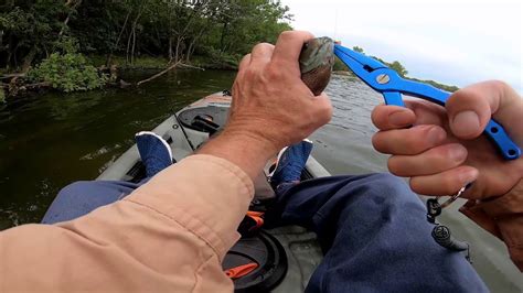 14 inch minimum length limit. fishing percy priest lake at fate sanders - YouTube