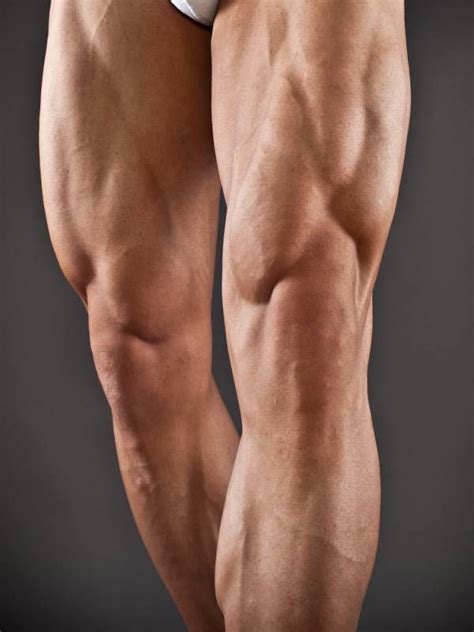 A simple description of comparative anatomy of limbs vastly eases the understanding of their structure and function. 5 Powerful Lower Body Strength Routines | Body anatomy ...