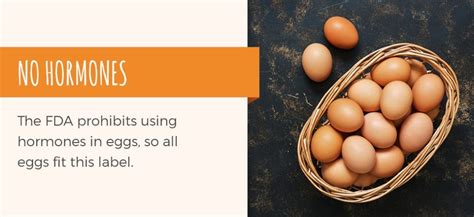 If you want to sell it, then let go of the item and its sold. How Much Should Eggs Cost You? | Sauder's Eggs