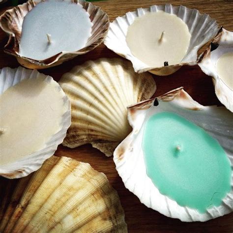 Collection by chris yavelow • last updated 3 weeks ago. Trio of Cornish Scallop Shell Candles by ...