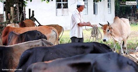 Batasan daging yang boleh dikonsumsi setiap hari. Apakah tujuan Raya Korban disambut? - Kata Malaysia