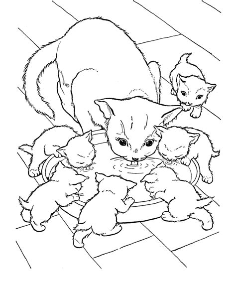 This game is easy to learn for kids and adults. Baby Kittens Coloring Pages - Coloring Home