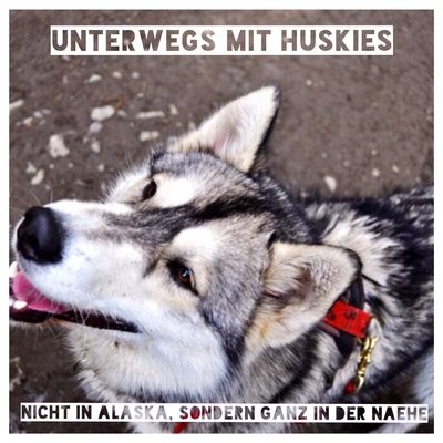 Heimat - Ein Perspektivwechsel - findsomebeautifulplaces