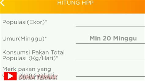 Ayam bangkok pelung vs bangkok kampung, sengit. Menghitung harga pakan ayam , FCR , dan HPP Ayam Petelur ...