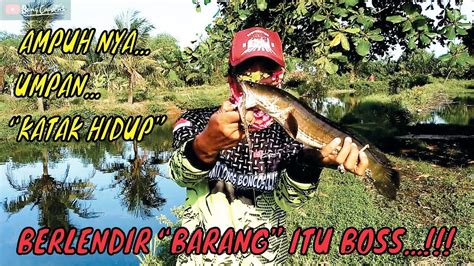 We did not find results for: AMPUHNYA MANCING CASTING | PAKAI UMPAN KATAK HIDUP | DI ...