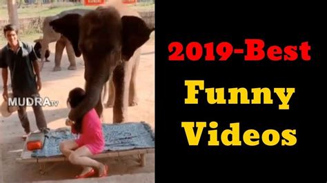 June 29, 2019 by andrew leave a comment. Funny Videos | Must Watch New Funny😂 😂Comedy Videos 2019 ...