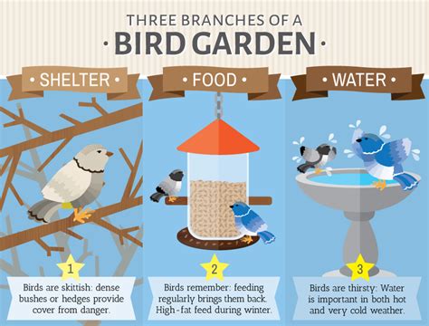 How i attracted wild birds into my garden. Attracting Birds to Your Back Yard | Birds