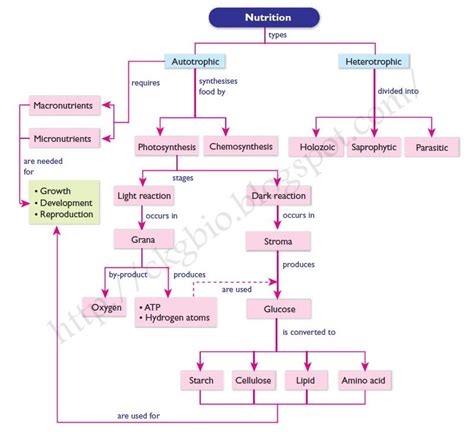 Can i have form 4 chapter 6 in mind mapping? onlineteacher: Chapter 6 (form 4)Biology