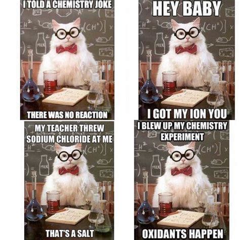 Plug them away, share, and get right back to giving your fur baby all the scratches and love they deserve. @_haleydixon_ | Science jokes, Science puns, Science cat